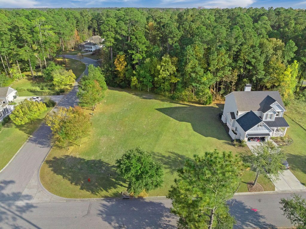 Photo of 201 Summer Breeze Way, Moncks Corner, SC 29461 (MLS # 25031550)