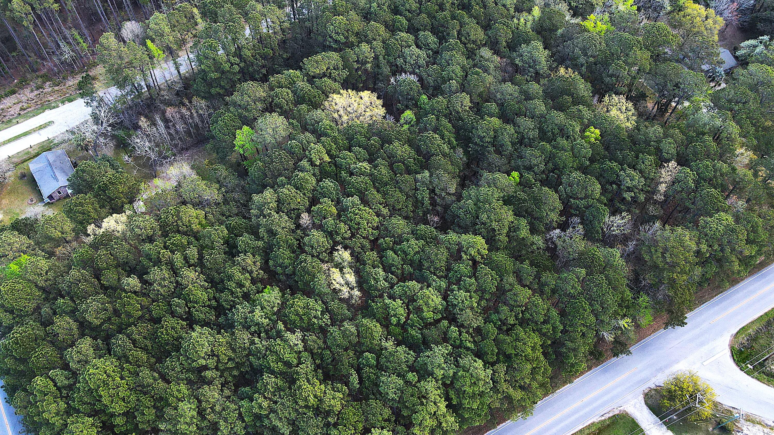 000 Clements Ferry Road