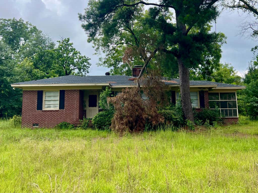 Photo of 249 E Richards Street, Denmark, SC 29042 (MLS # 26022333)