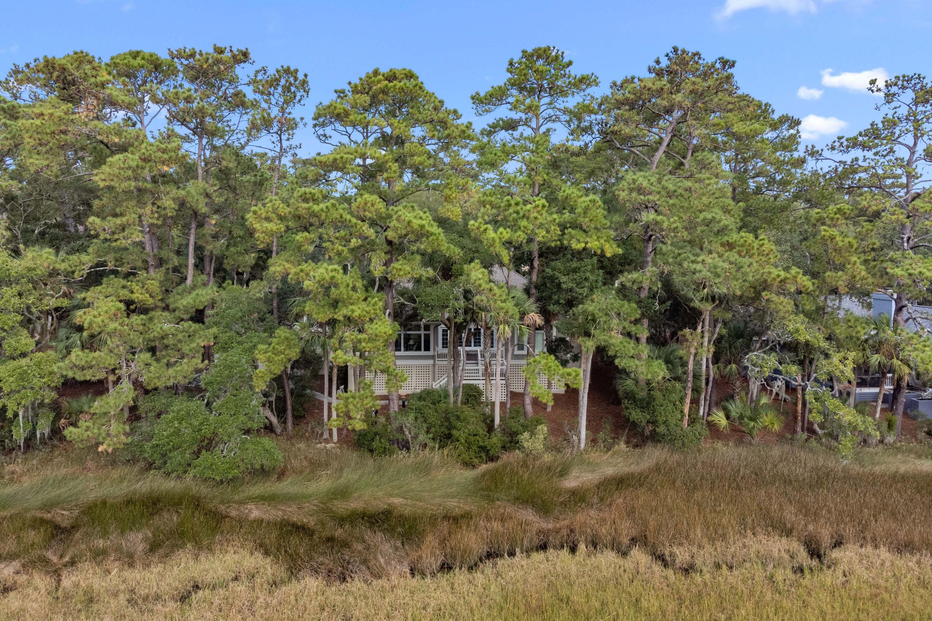 2515 Cat Tail Pond Road