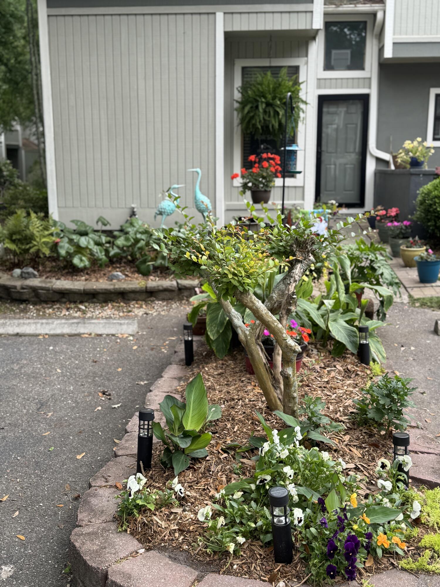 2757 Jobee Drive 1101