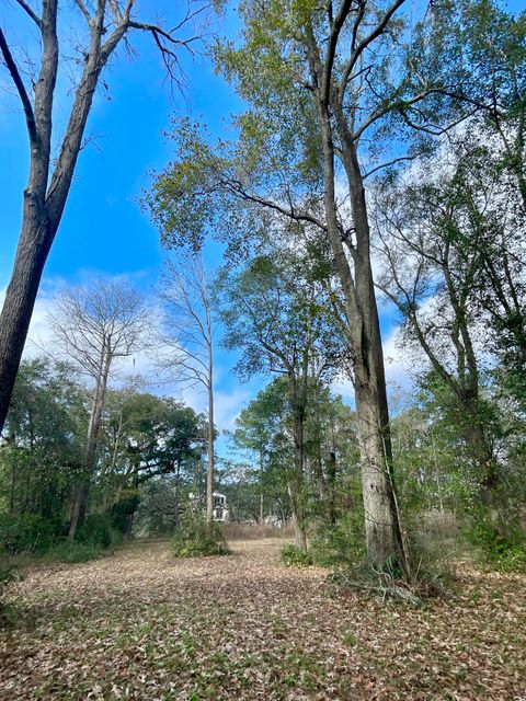 0 Bradham Road Charleston SC 29412