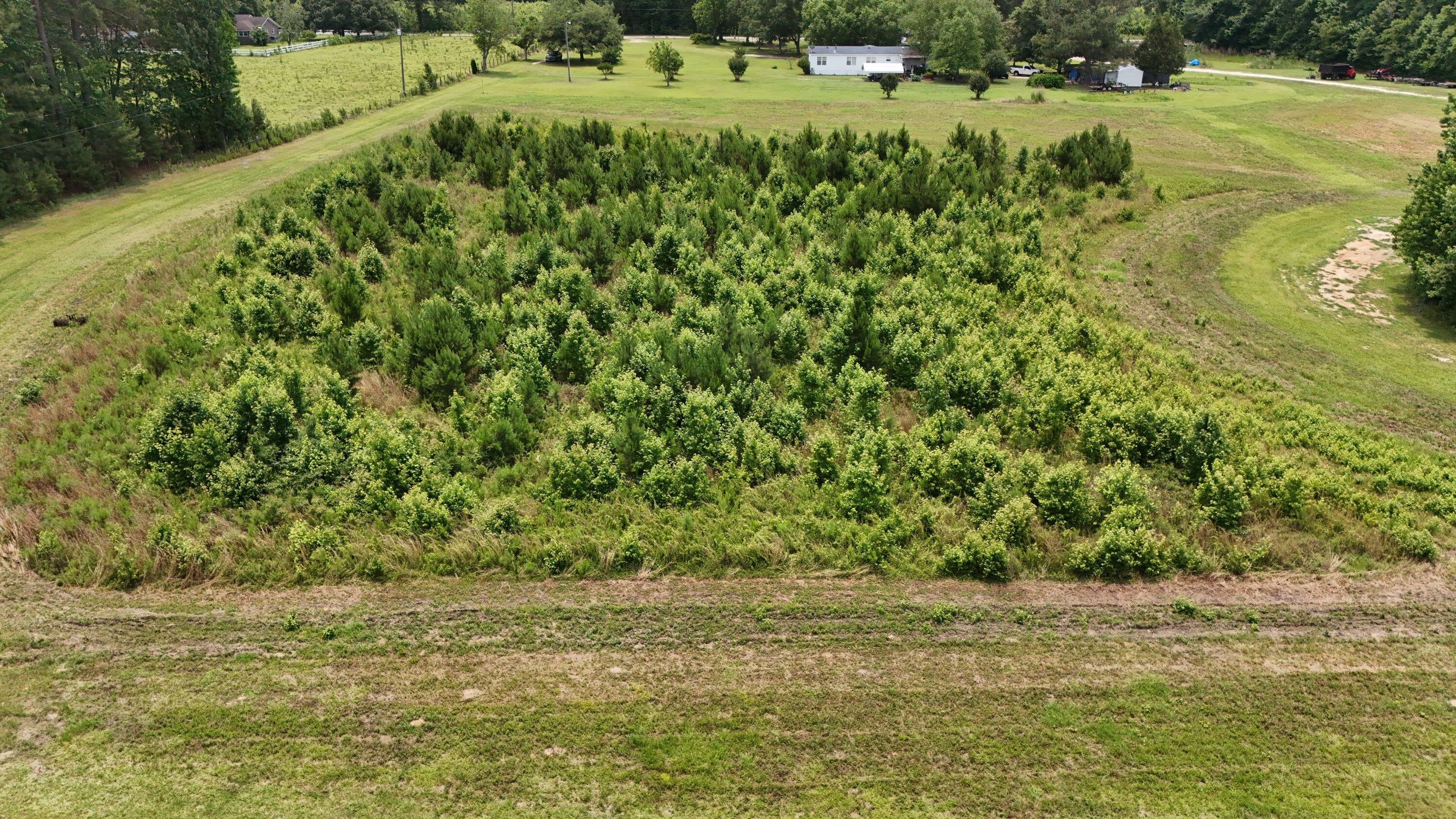 Tbd Dawson Branch Road