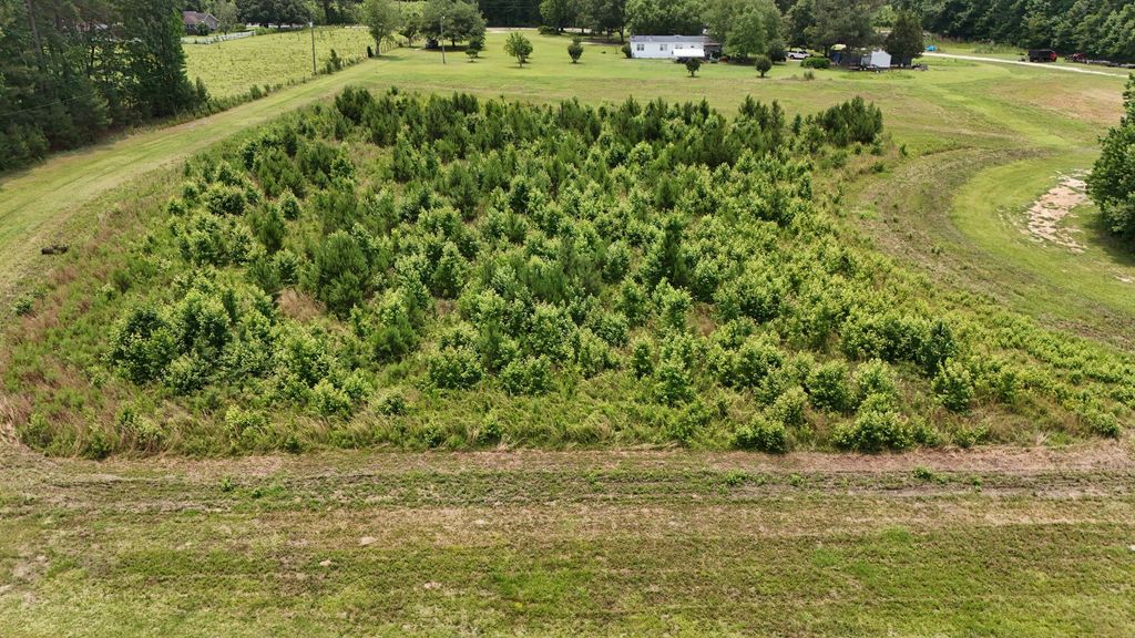 Photo of Tbd Dawson Branch Road, Summerville, SC 29483 (MLS # 26014480)