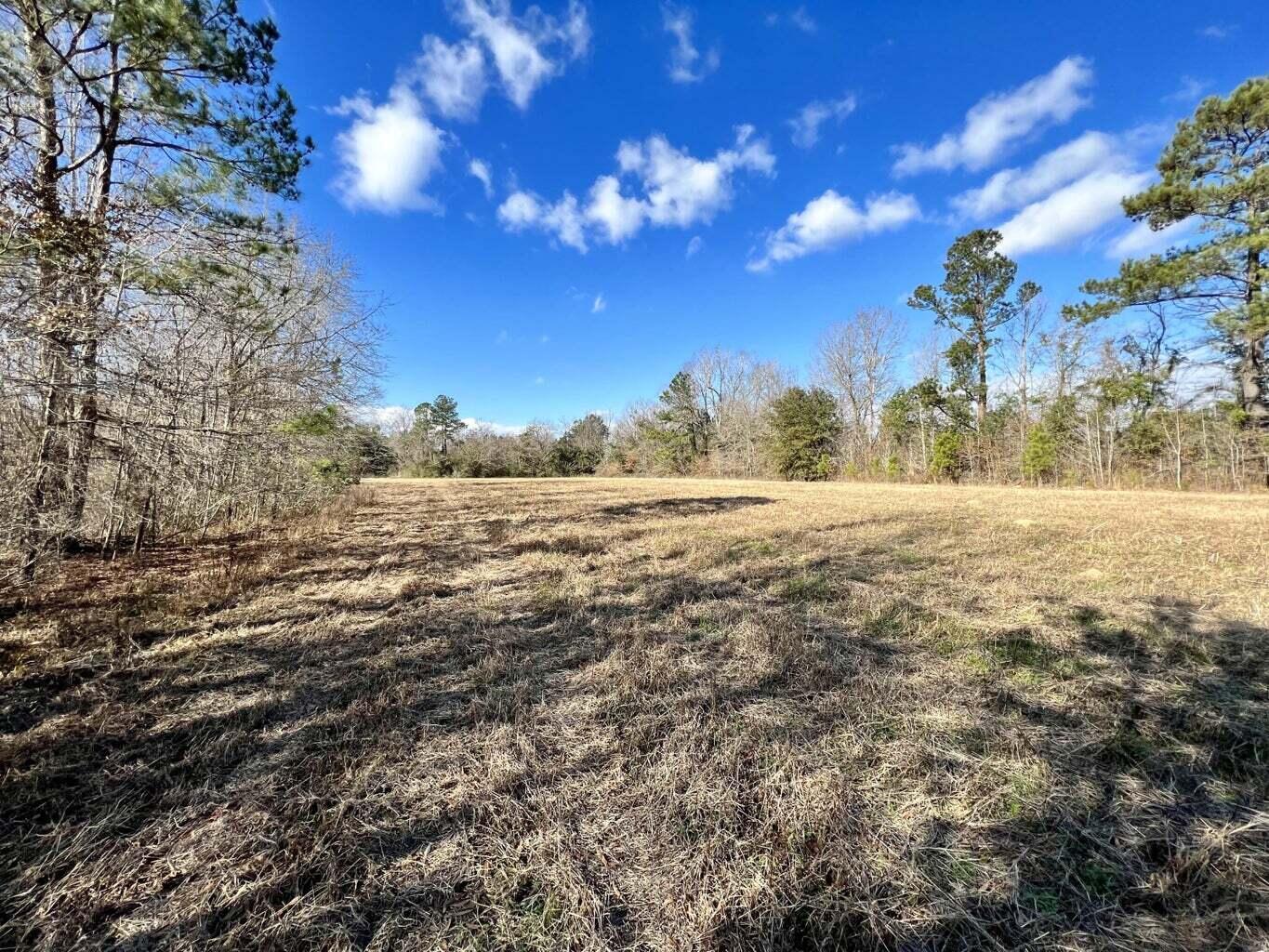 643 Dennis Ridge Road