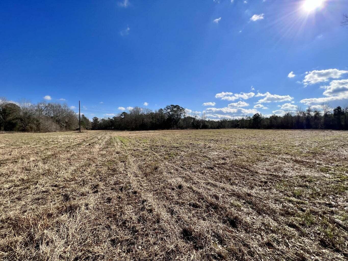 643 Dennis Ridge Road