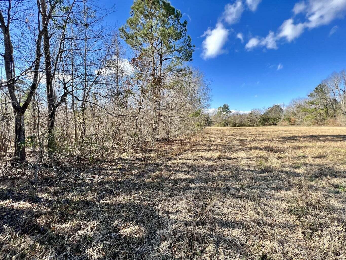 643 Dennis Ridge Road