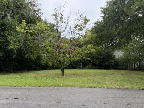 Photo of 1490 Indian Street, Mount Pleasant, SC 29464 (MLS # 26022286)