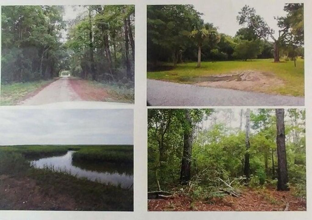 Photo of 0 Gadsdenville Road, Mount Pleasant, SC 29429 (MLS # 24003095)