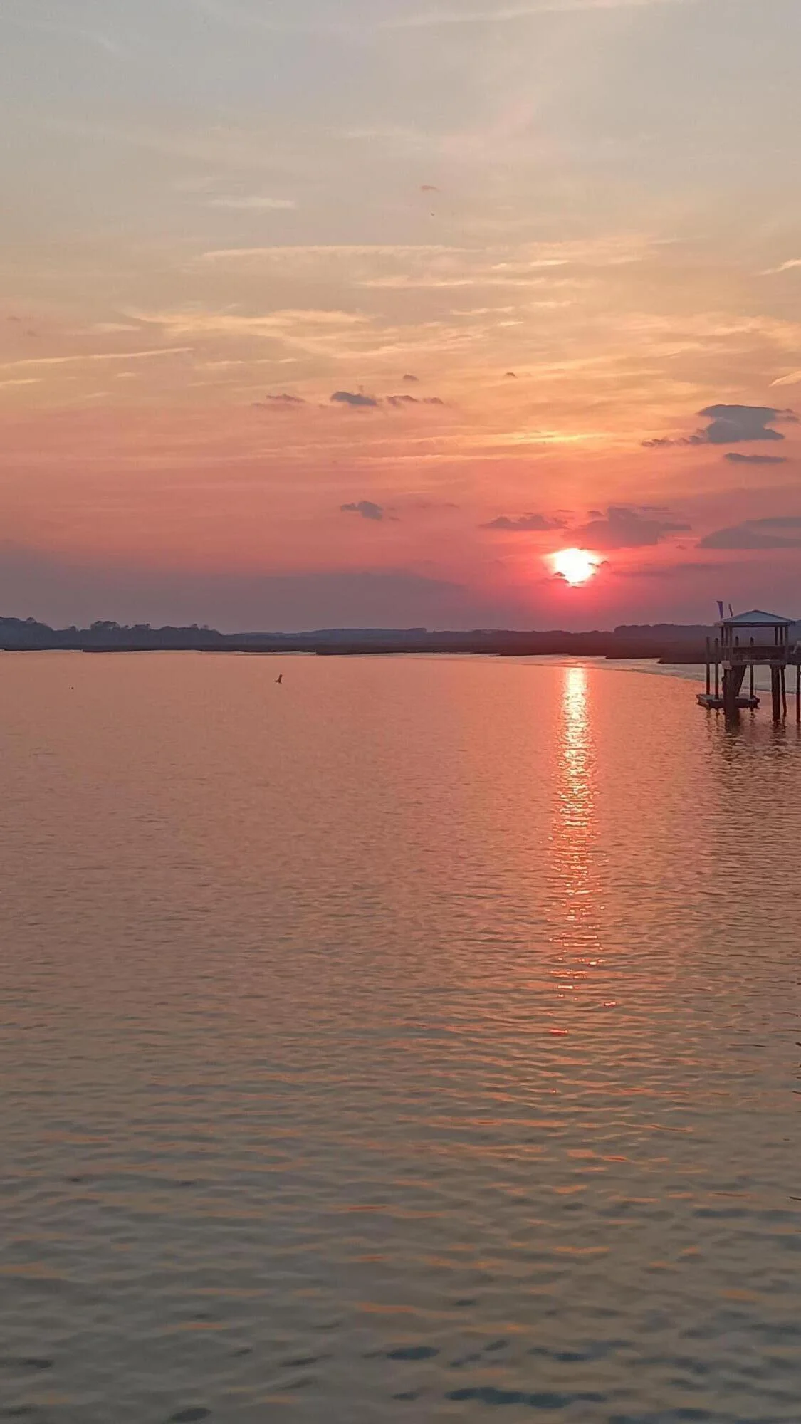 171 Bennett Island Dr. Dr, Green Pond, SC, 29446