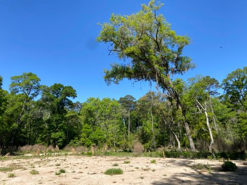 6079 Josie Ridge Road Wadmalaw Island SC 29487