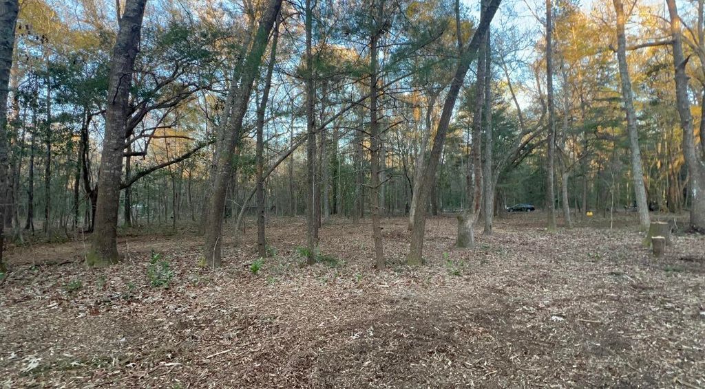 Photo of 0 Sol Farm Road, Johns Island, SC 29455 (MLS # 26014799)