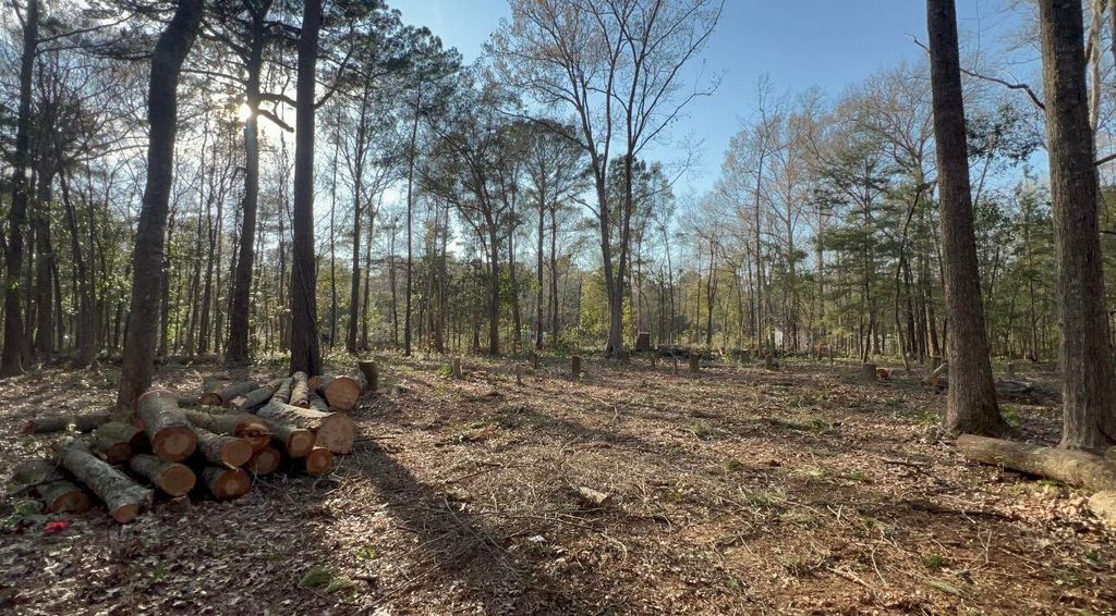 Photo of 0 Sol Farm Road, Johns Island, SC 29455 (MLS # 26014799)