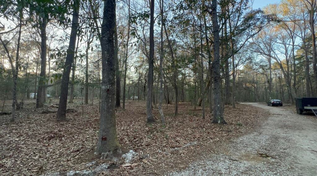 Photo of 0 Sol Farm Road, Johns Island, SC 29455 (MLS # 26014799)