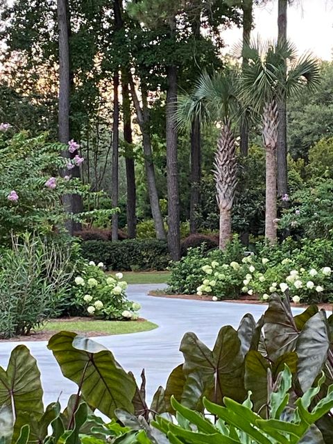 A home in Johns Island