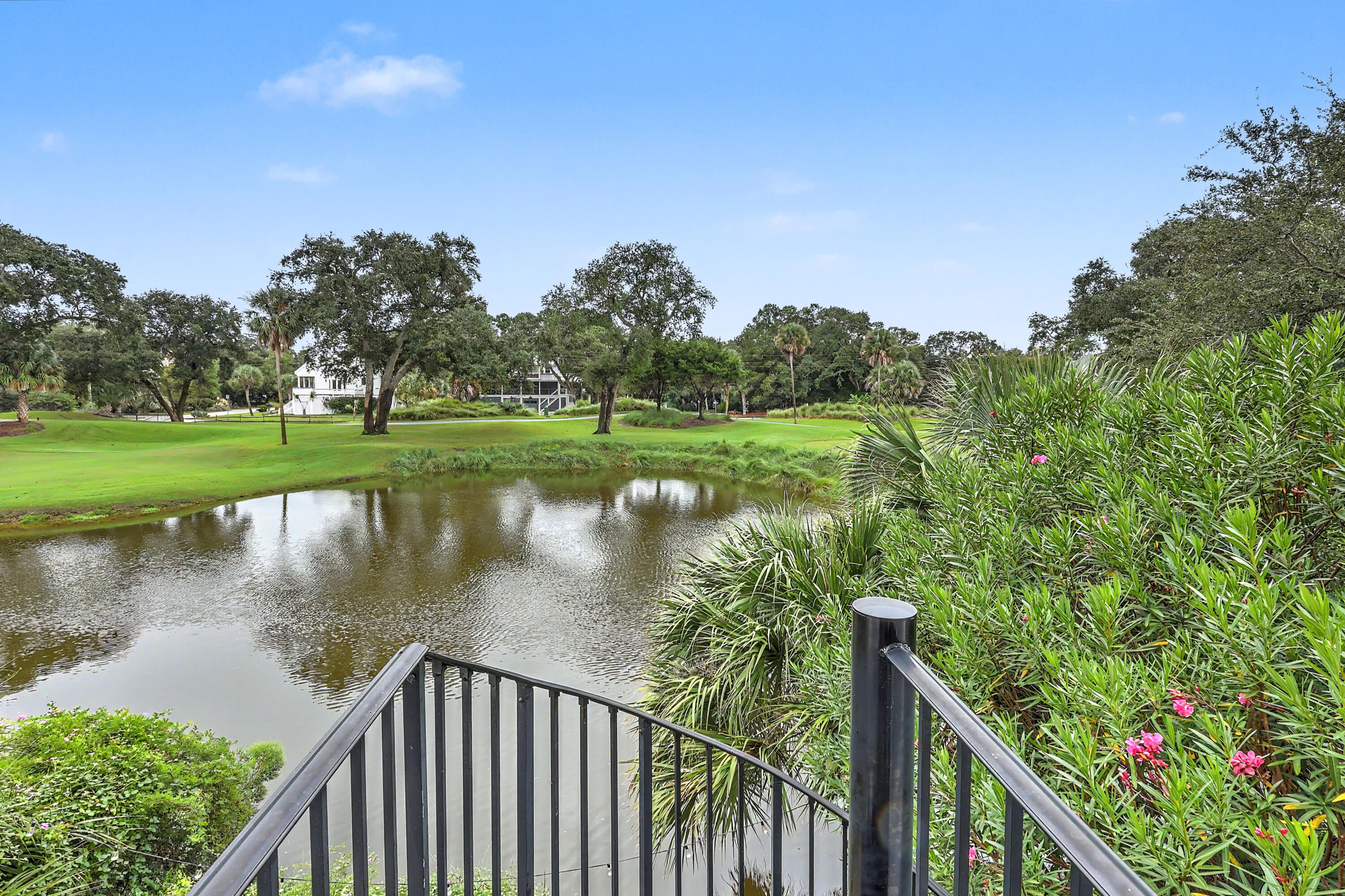 46 Morgan'S Cove Drive