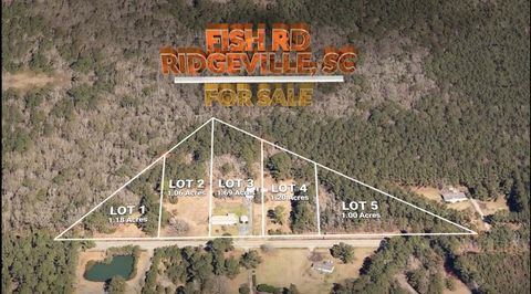 0 Fish Road 1 & 2 Ridgeville SC 29472