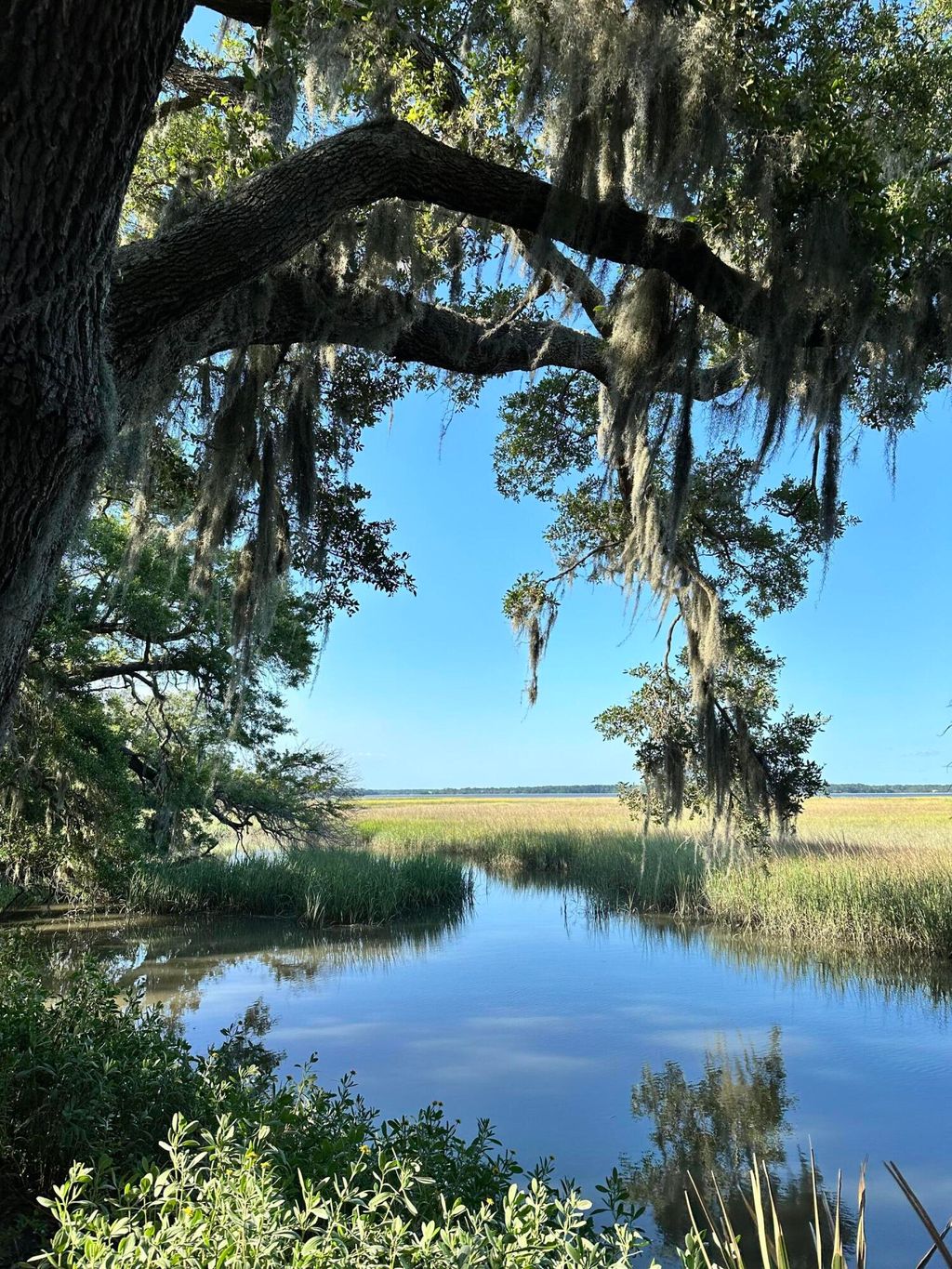 Photo of 7950 Hopkins Pl Drive #Lot 15, Edisto Island, SC 29438 (MLS # 26007727)