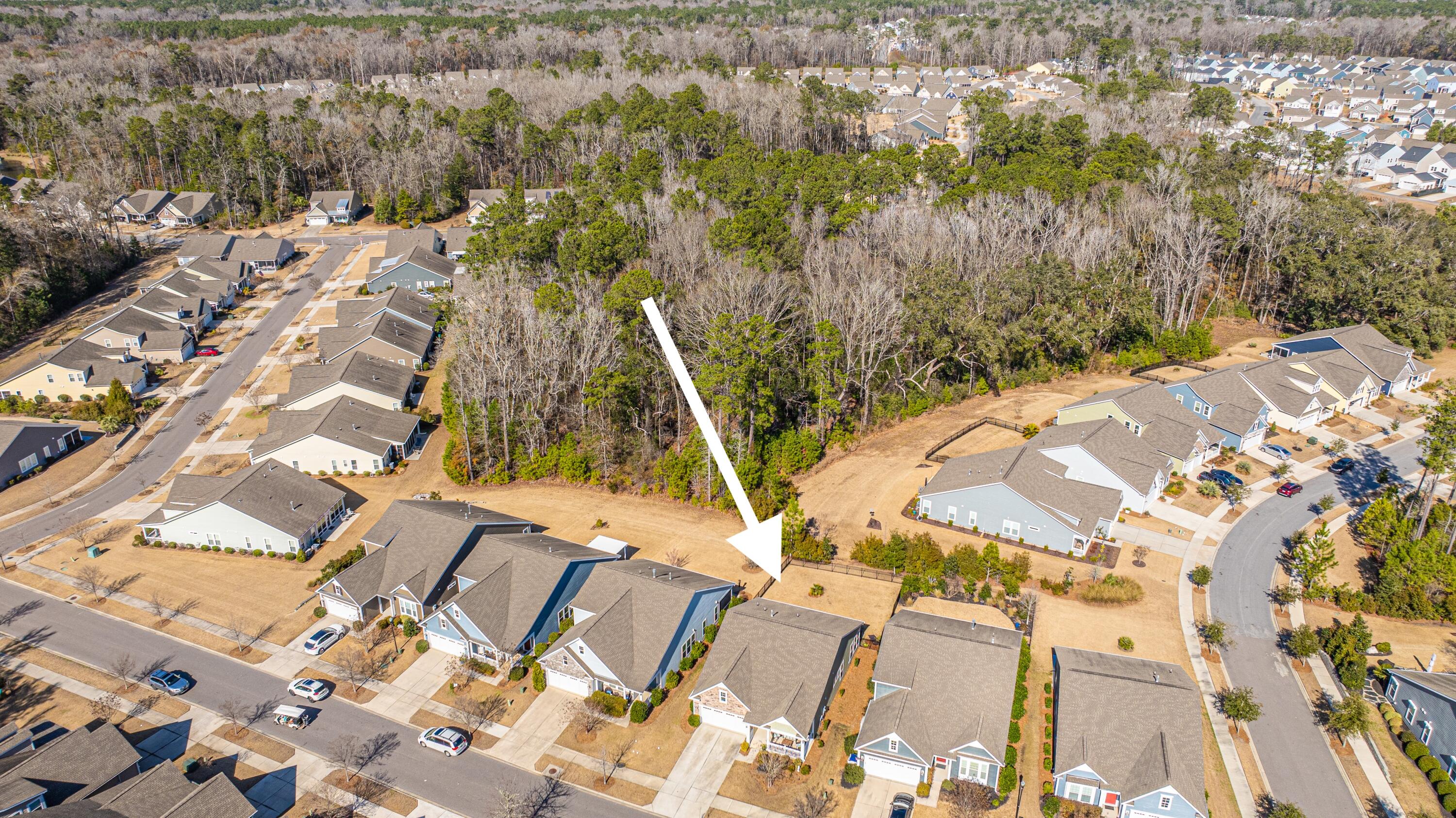 3034 Cross Vine Lane