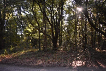 139 Earnestine Drive, Georgetown, SC, 29440