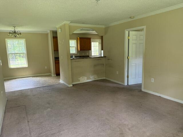 337 Majority Road