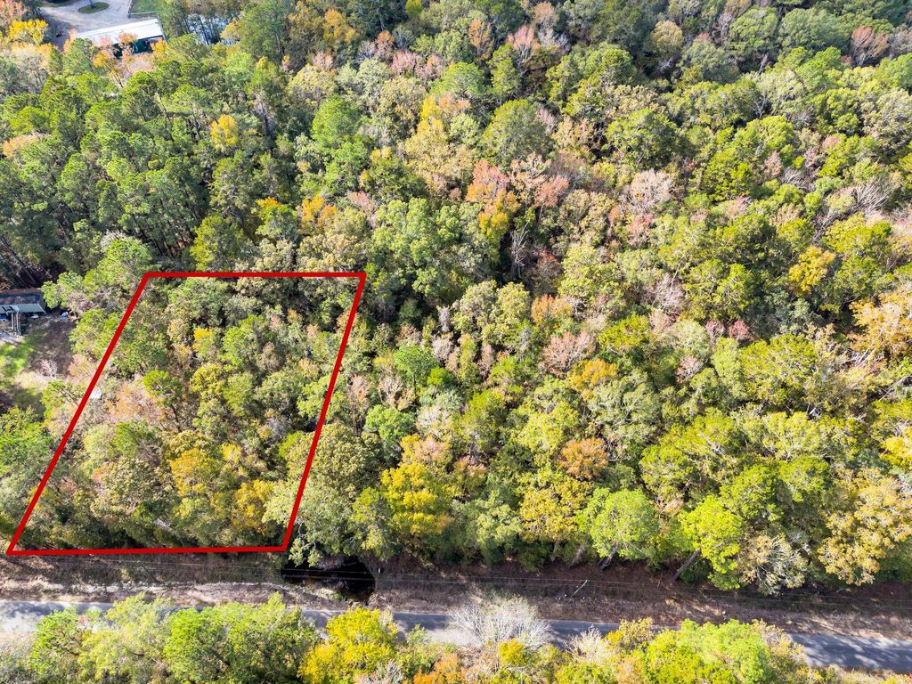 Photo of 107 Weir Street St, Summerville, SC 29483 (MLS # 24029408)