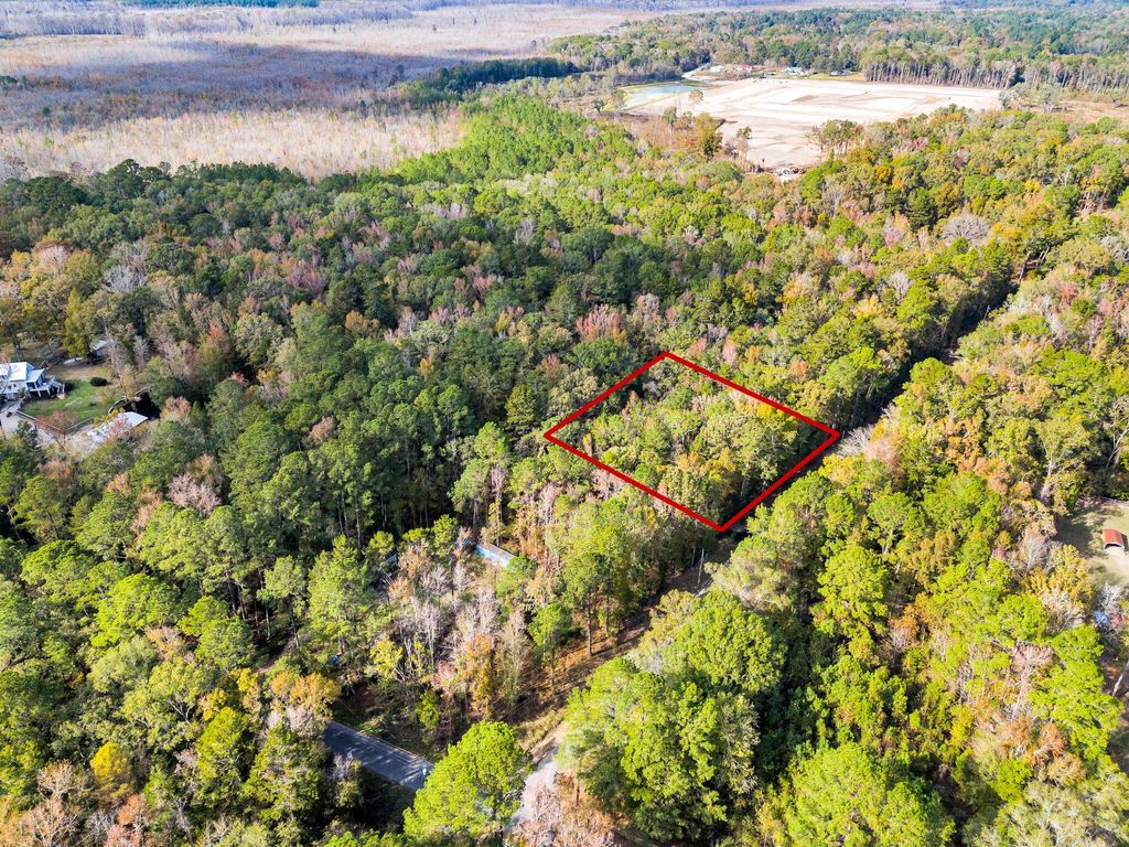 Photo of 107 Weir Street St, Summerville, SC 29483 (MLS # 24029408)