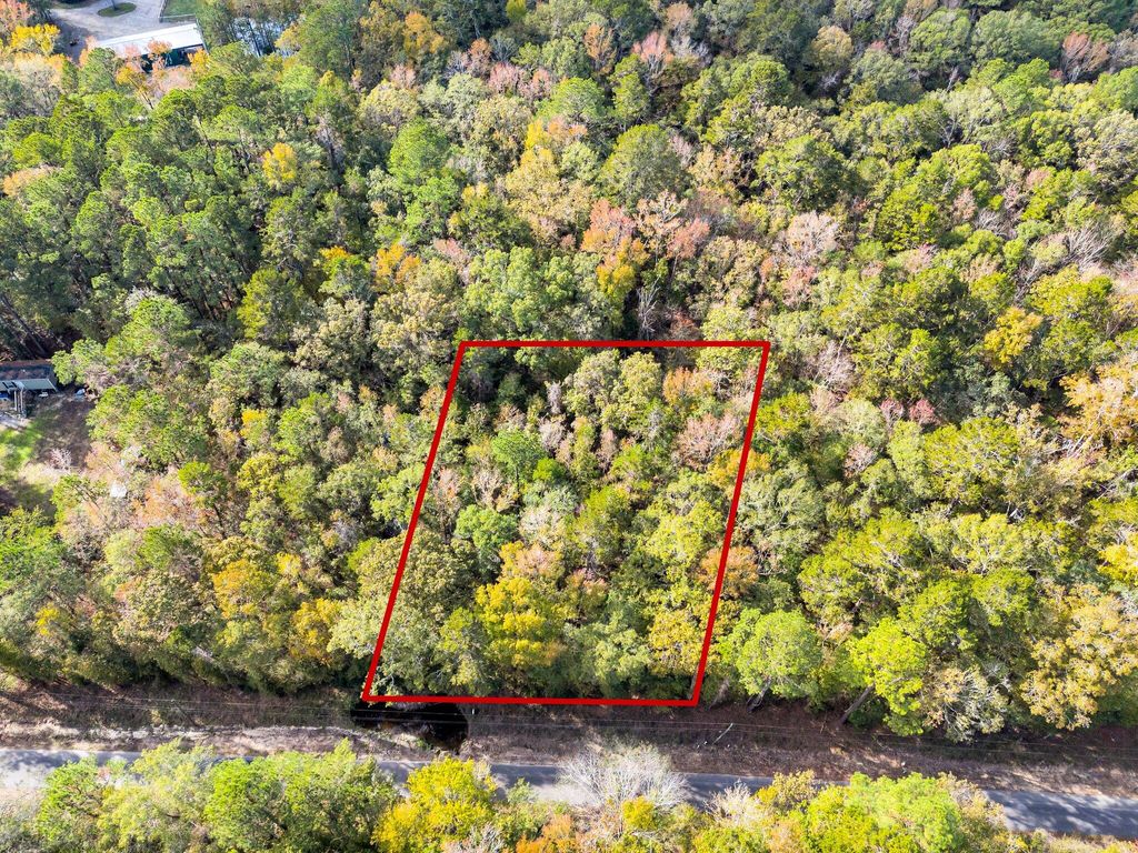 Photo of 107 Weir Street St, Summerville, SC 29483 (MLS # 24029408)