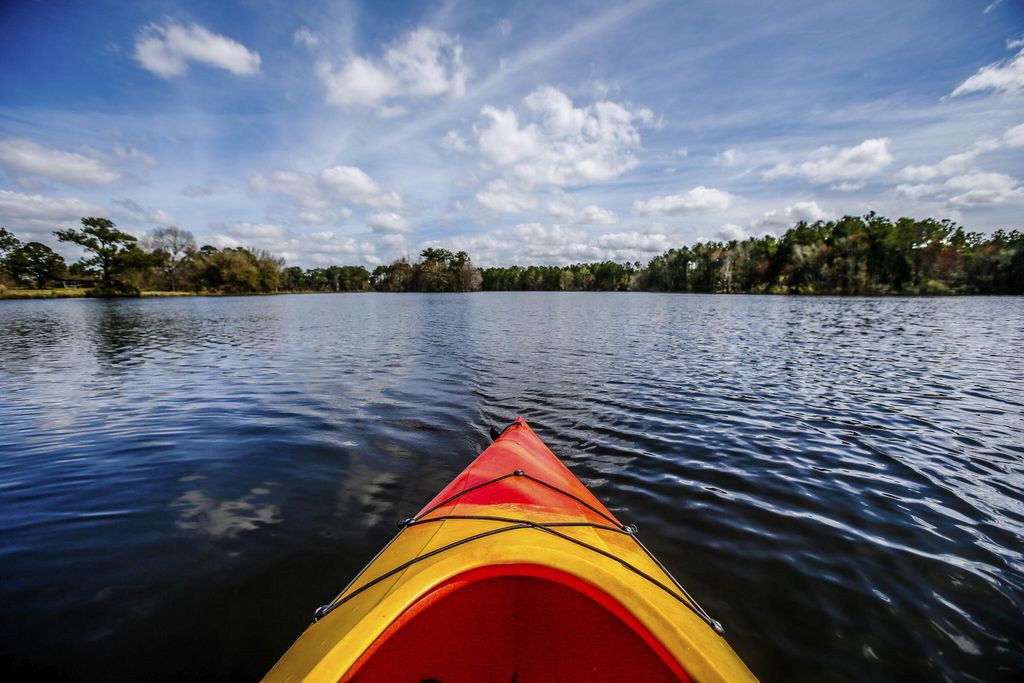 Photo of 1019 Riverbed Retreat Lane, Summerville, SC 29485 (MLS # 25031537)