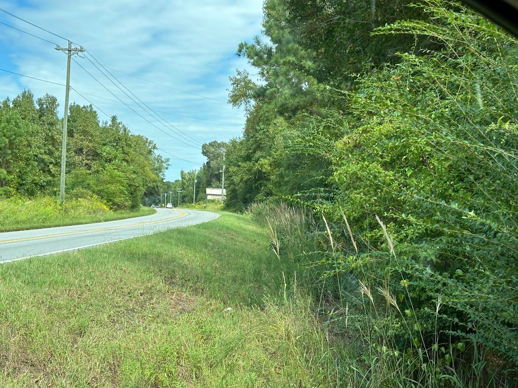 Photo of 1766 Jedburg Road, Summerville, SC 29486 (MLS # 24025003)