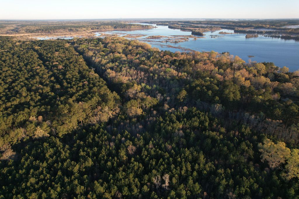 Photo of 554 Point Comfort Road, Moncks Corner, SC 29461 (MLS # 26007872)