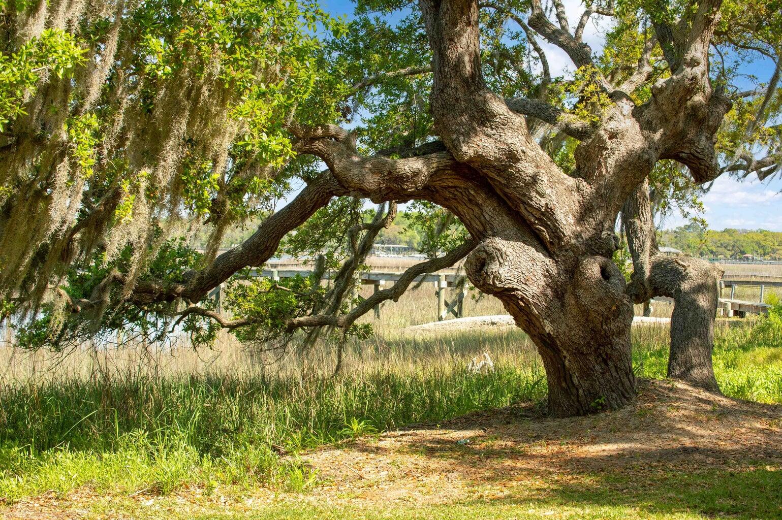 3398 Freeman Hill Road