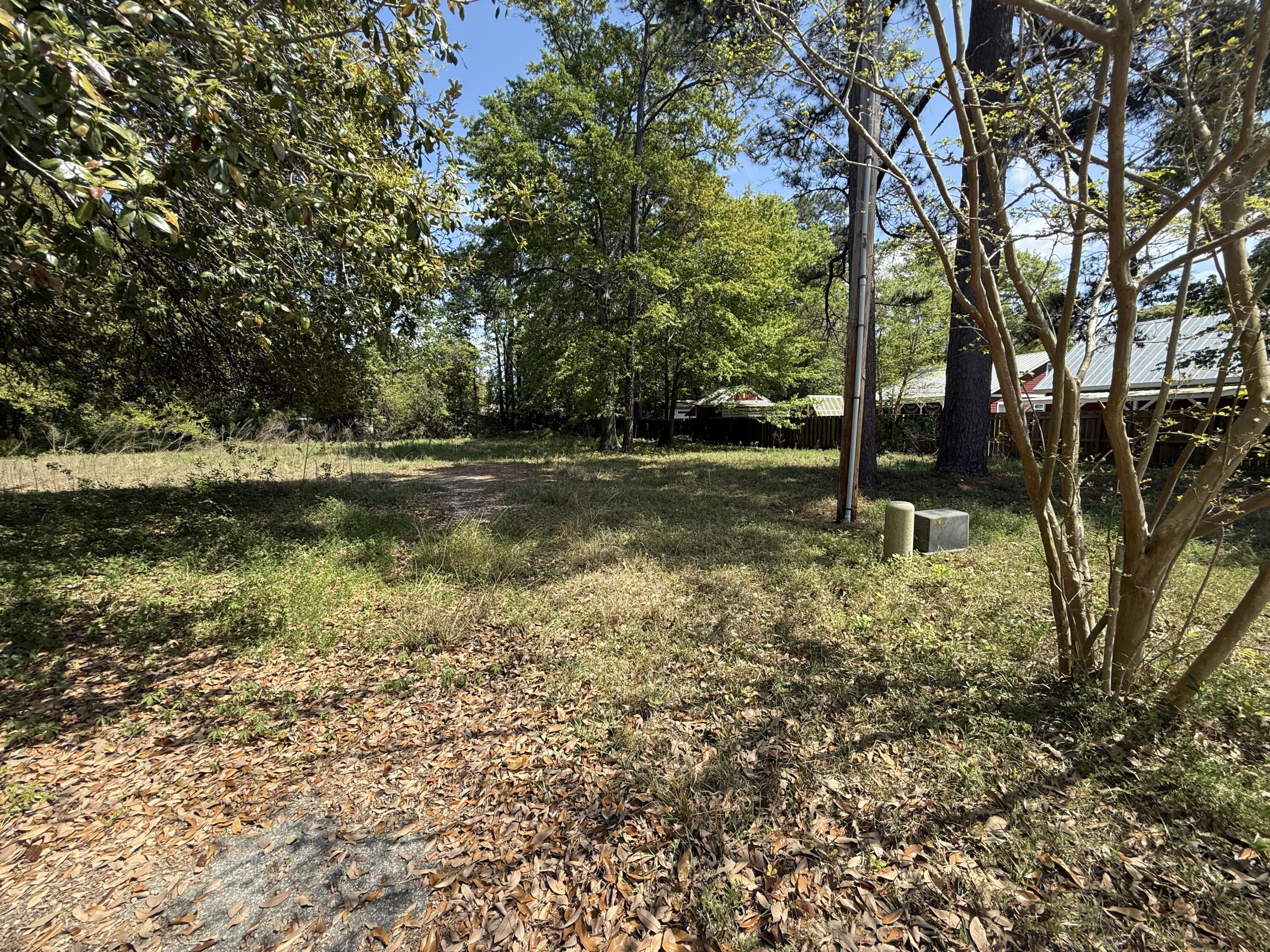 904 Hildebrand Drive