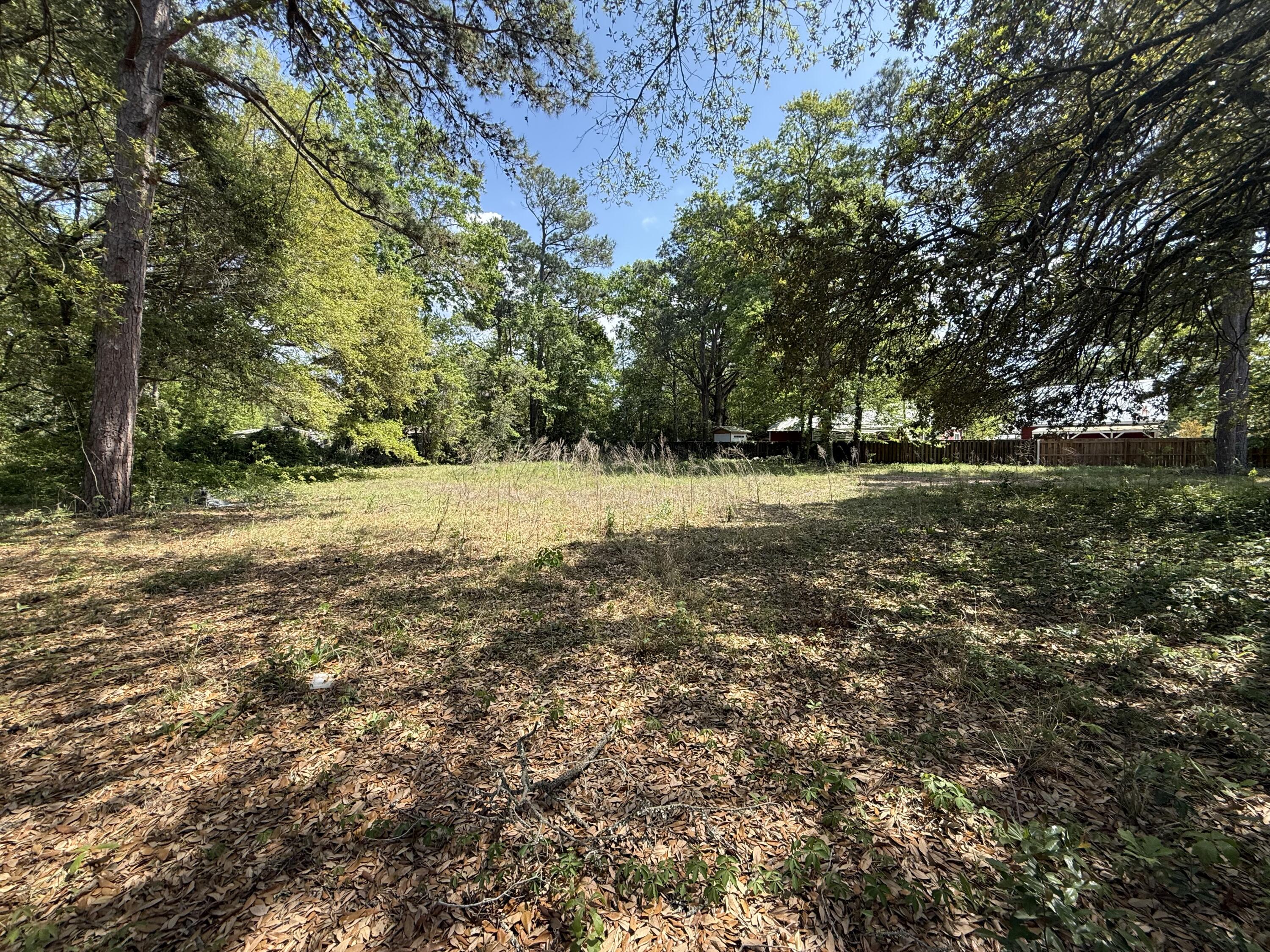 904 Hildebrand Drive