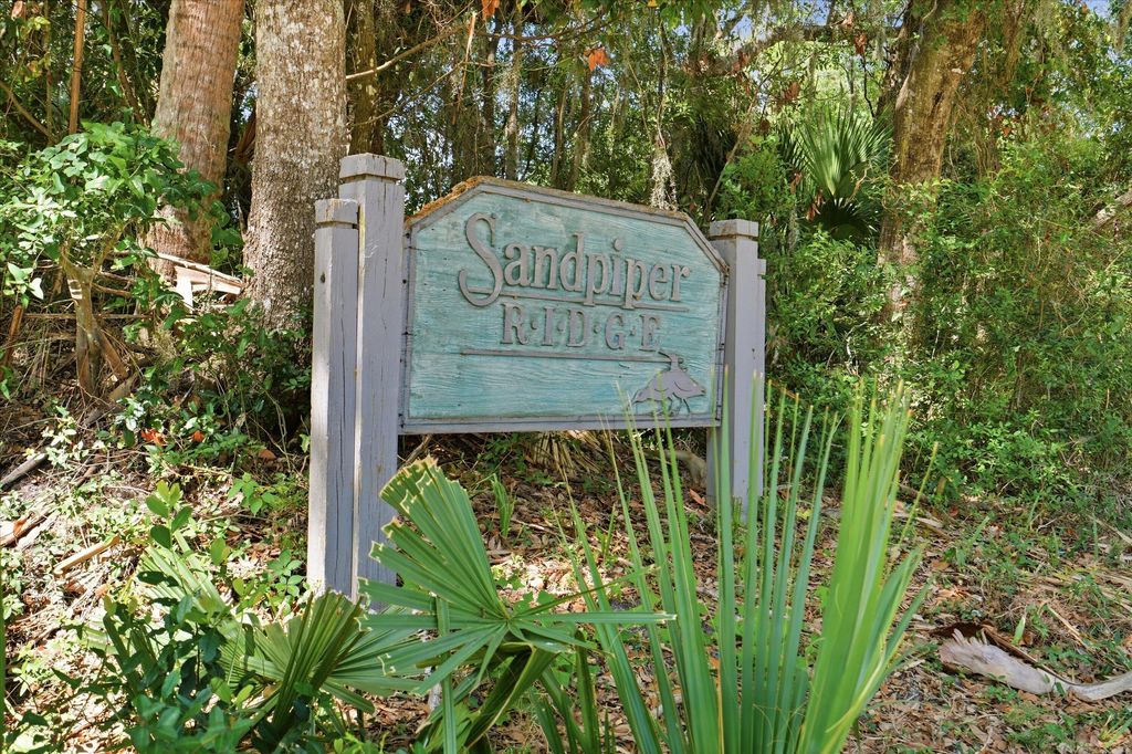 Photo of 718 Sandpiper Ridge, Edisto Beach, SC 29438 (MLS # 26019154)