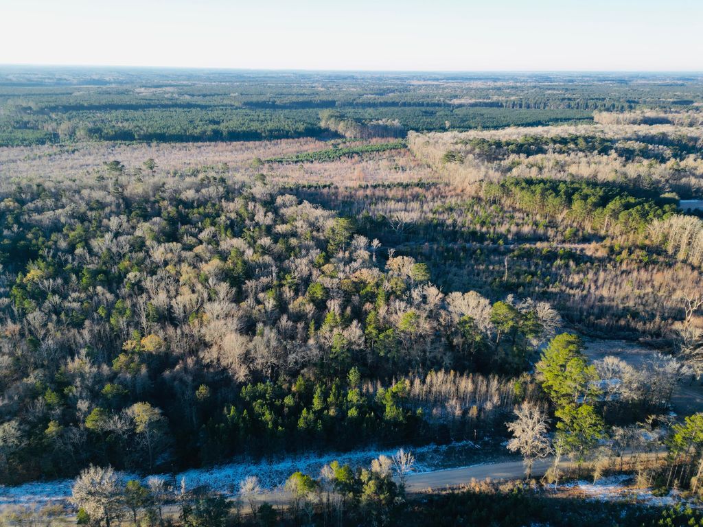 Photo of 00 Hyde Park Road, Adams Run, SC 29426 (MLS # 26003481)