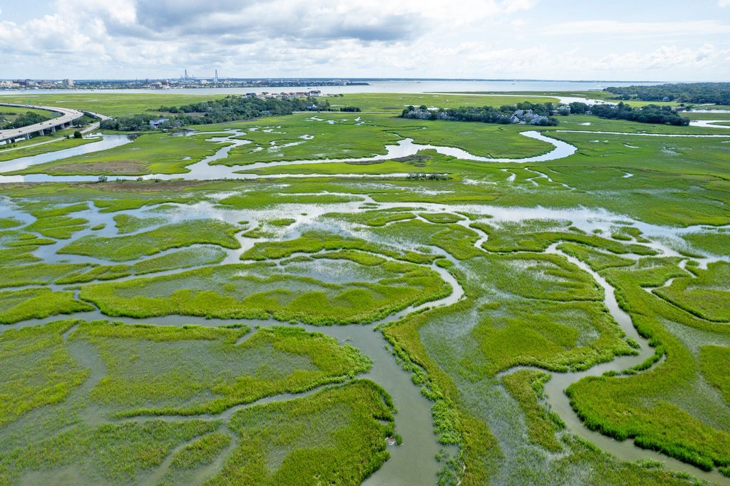 Photo of 700 Daniel Ellis Drive #8106, Charleston, SC 29412 (MLS # 26000841)