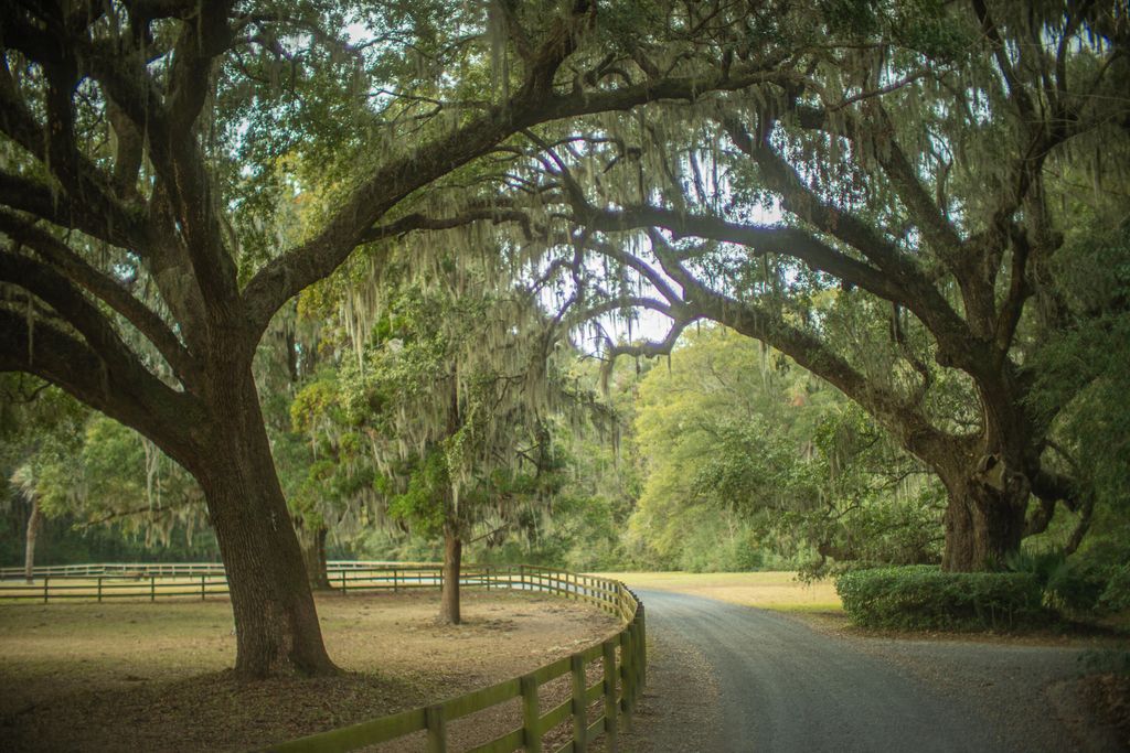 Photo of 19 Middleton Oaks Road, Charleston, SC 29414 (MLS # 25001090)