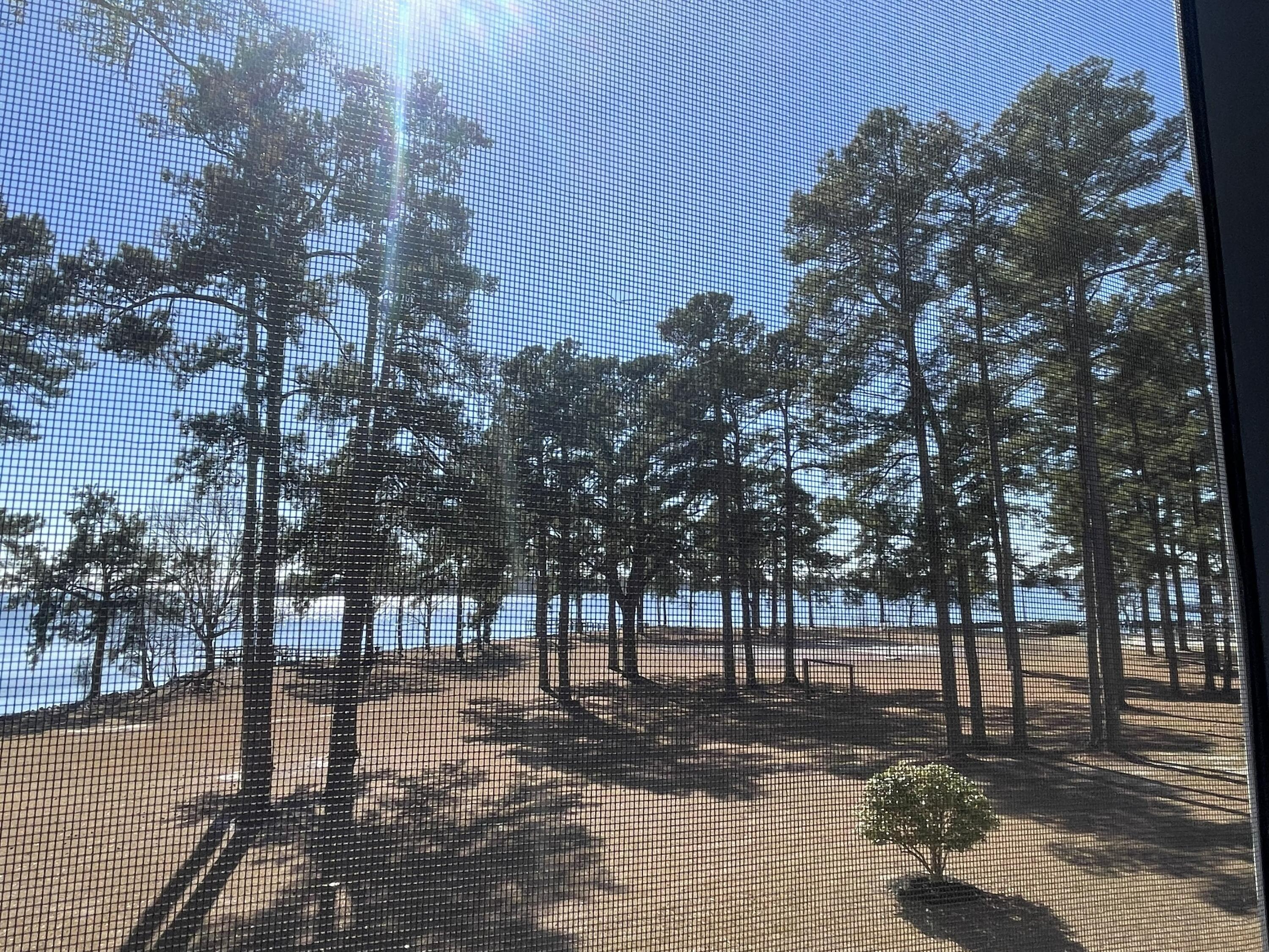 5206 Cypress Pointe # D206