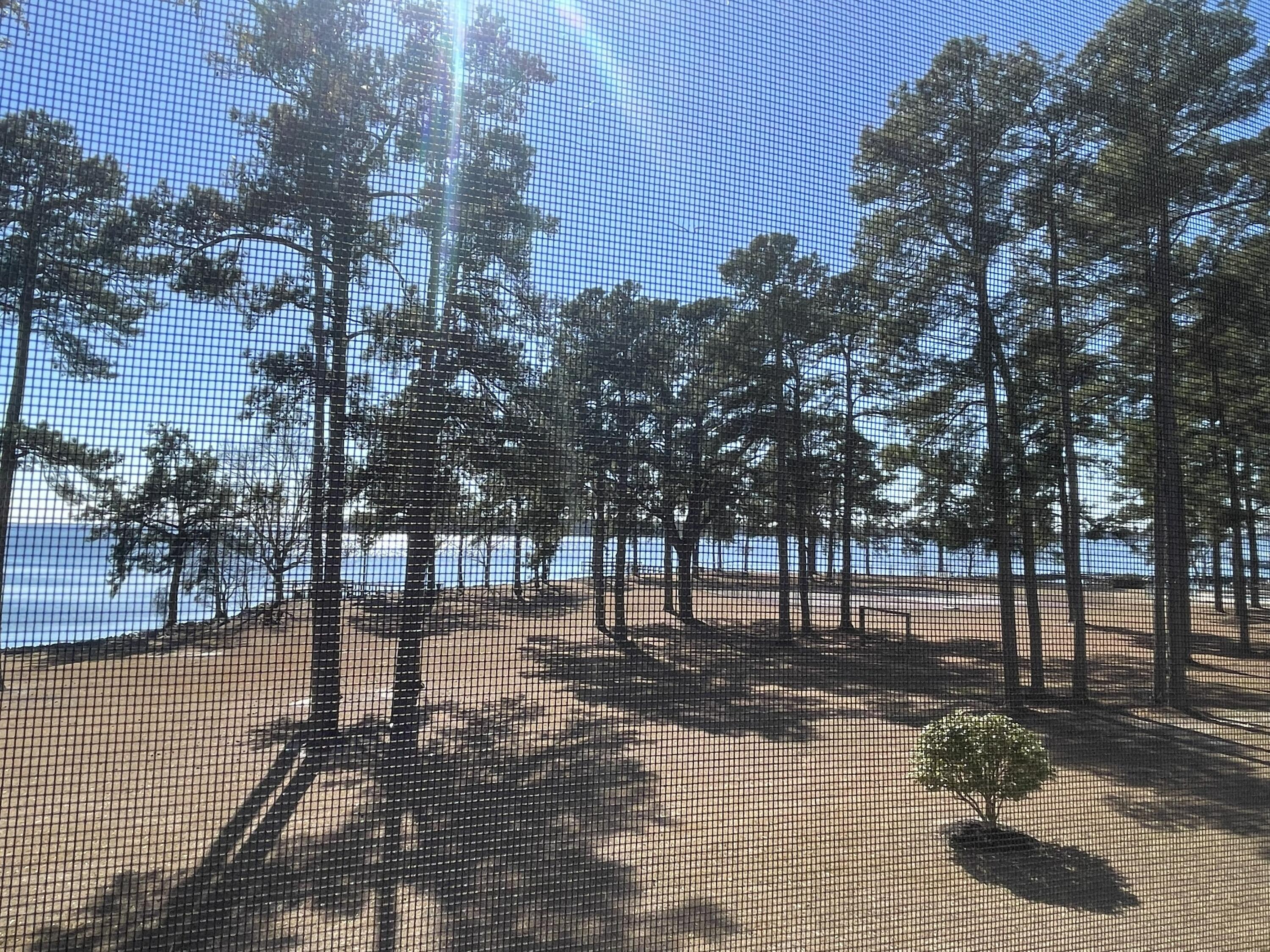 5206 Cypress Pointe # D206