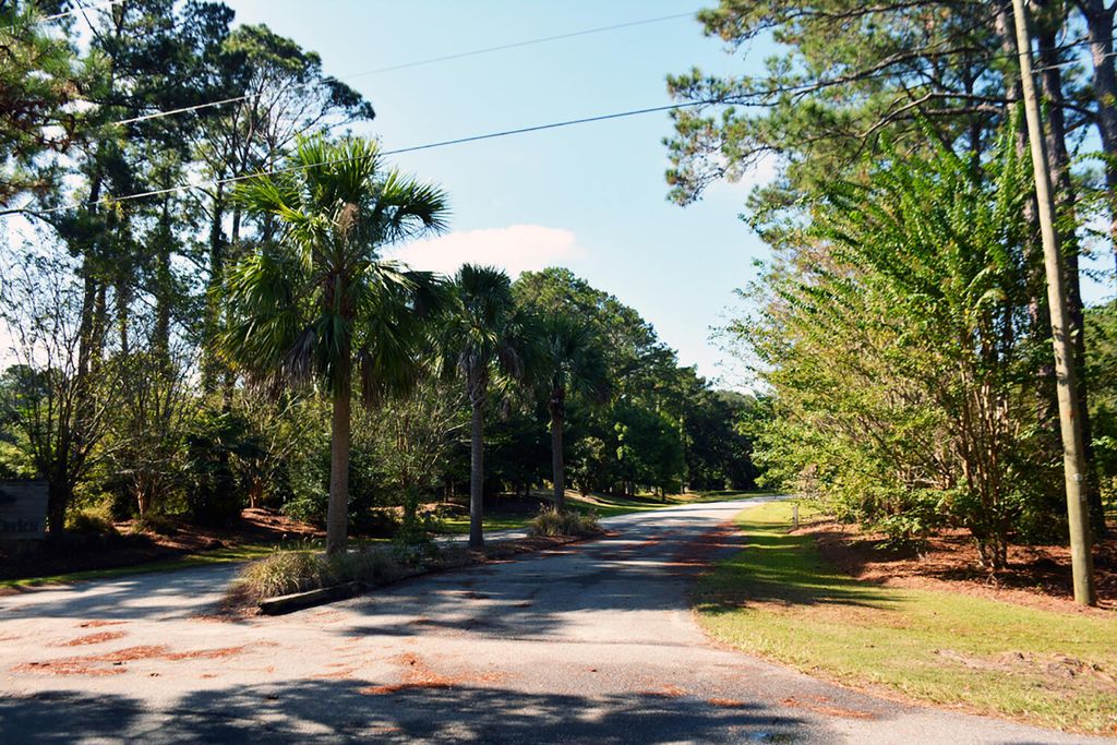 Photo of 57 Seaside Road, Edisto Island, SC 29438 (MLS # 25020804)