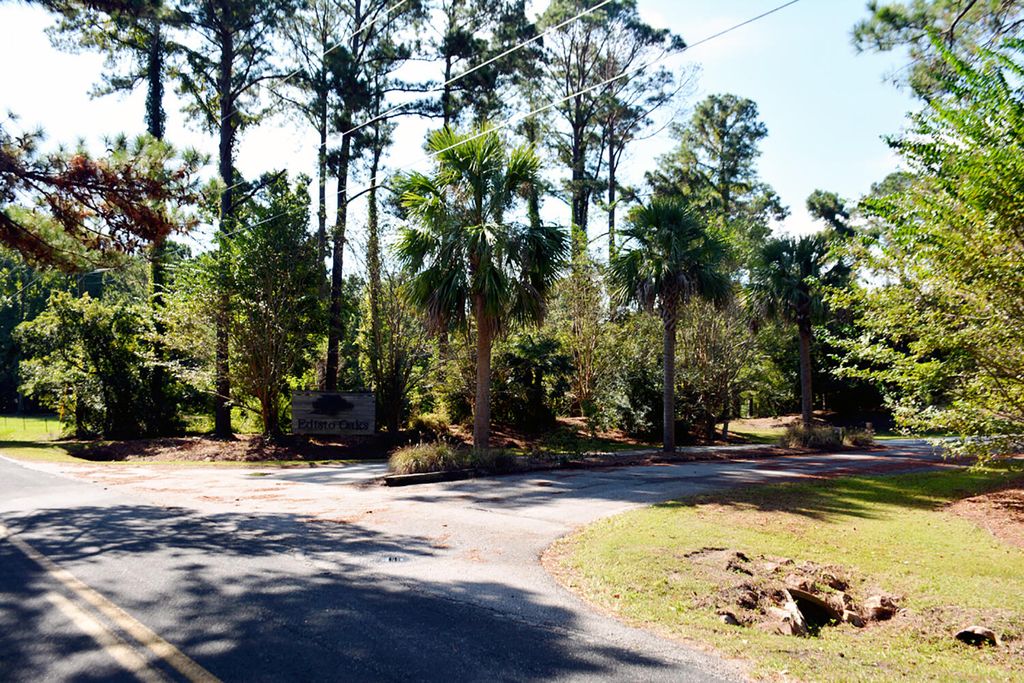 Photo of 57 Seaside Road, Edisto Island, SC 29438 (MLS # 25020804)