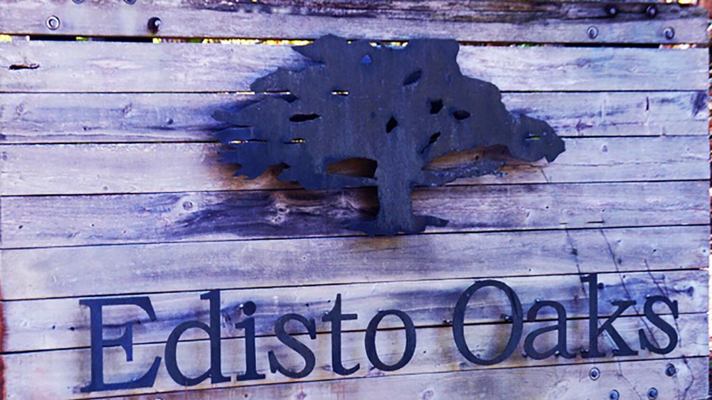 Photo of 57 Seaside Road, Edisto Island, SC 29438 (MLS # 25020804)