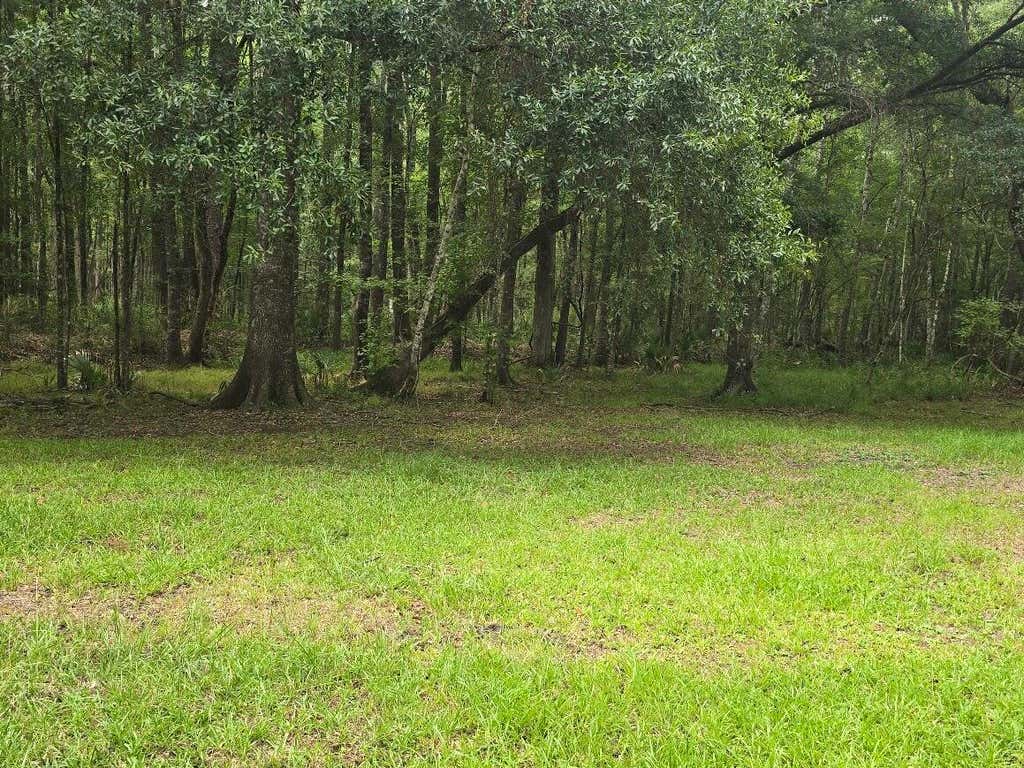 Photo of 6210 Smoak Retreat Road, Adams Run, SC 29426 (MLS # 26021437)