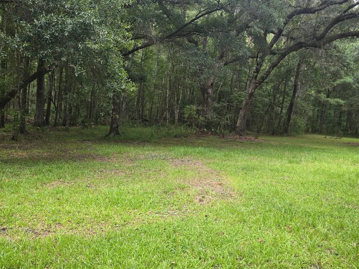 6210 Smoak Retreat Road, Adams Run, SC, 29426
