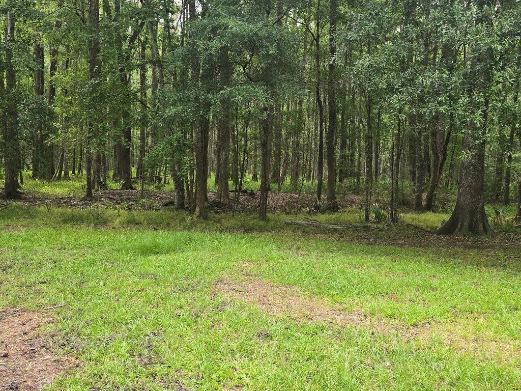 Photo of 6210 Smoak Retreat Road, Adams Run, SC 29426 (MLS # 26021437)