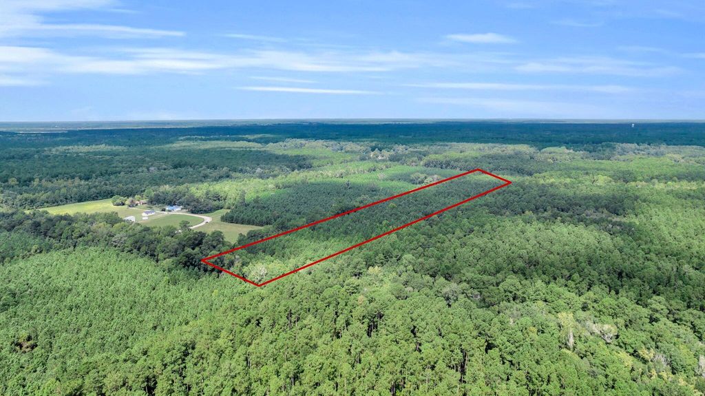 Photo of 0 Sheep Island Road, Summerville, SC 29486 (MLS # 24024096)
