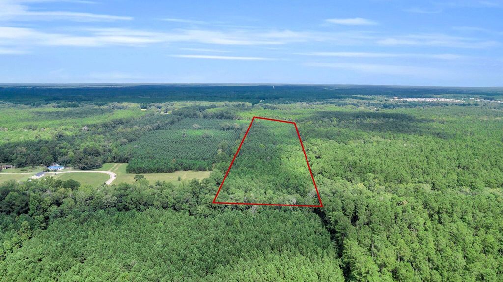 Photo of 0 Sheep Island Road, Summerville, SC 29486 (MLS # 24024096)