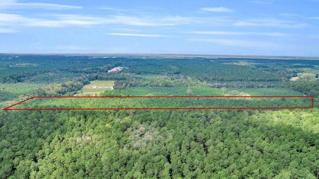 Photo of 0 Sheep Island Road, Summerville, SC 29486 (MLS # 24024096)