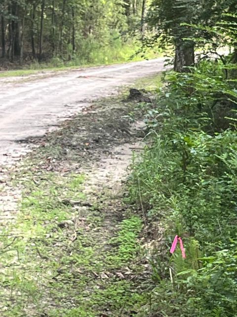 0 Snake Branch Drive Round O SC 29474